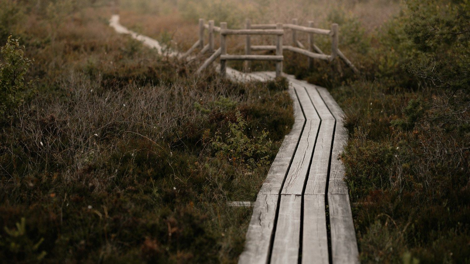 Eesti rabad: aastaajad, ohutus ja vastutustundlik külastus