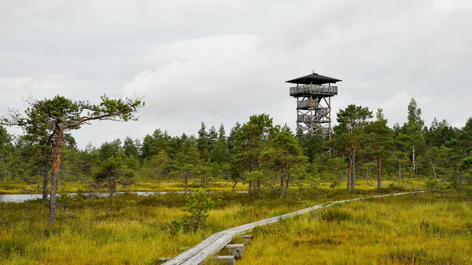 eesti rabad kontrollnimekiri